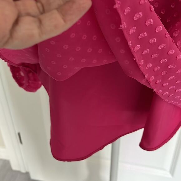 2/20. 
IMNYC Isaac Mizrahi Pink Lined with Sheer Pink Swiss Polka Blouse - Picture 4 of 10